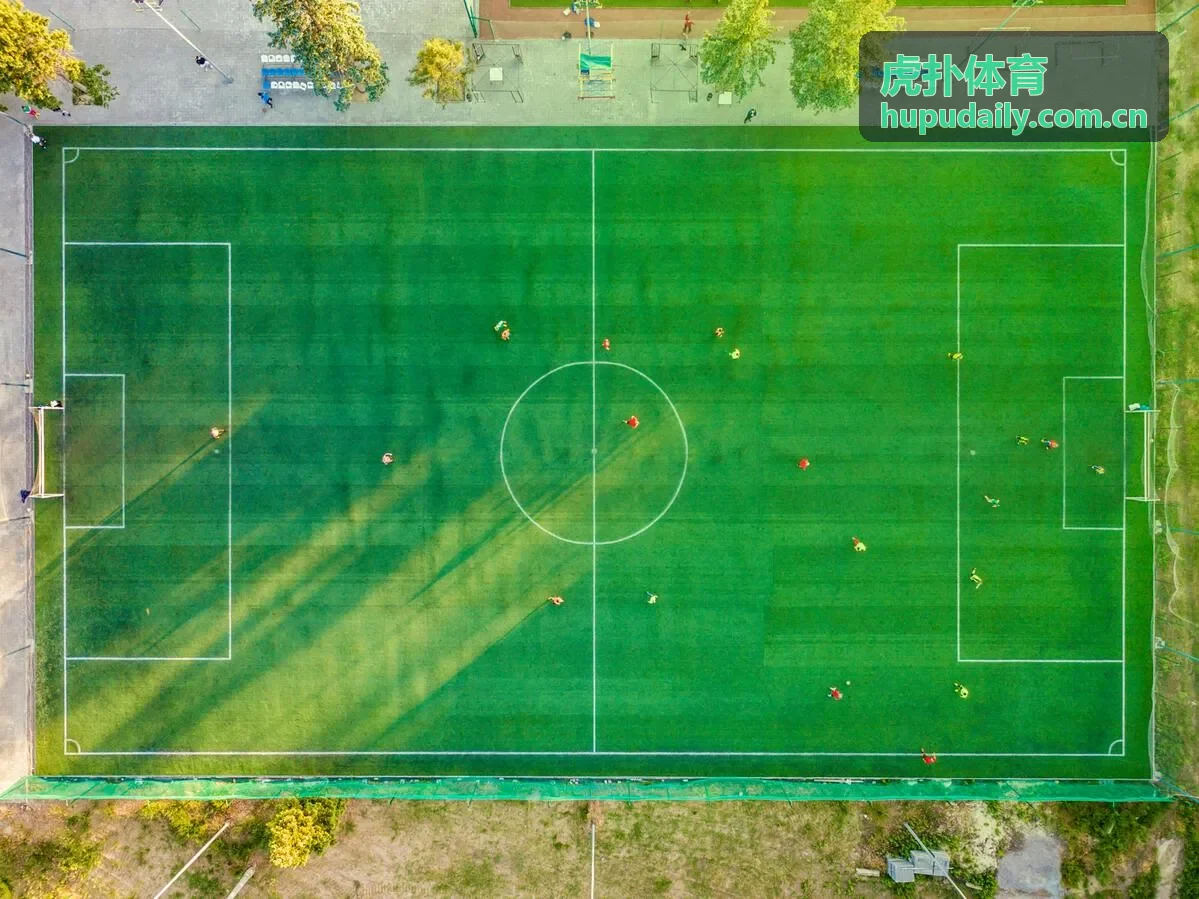 虎扑体育综合格斗赛事视频封面